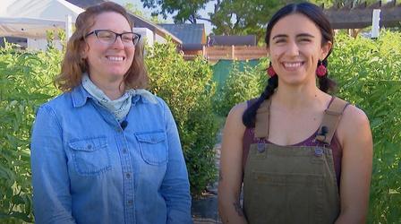 Video thumbnail: Central Texas Gardener Este Garden Pro Tips: Growing Tomatoes, Peppers, Okra