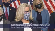 Congressional Panel Part 2: Liz Cheney’s Ouster