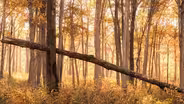 Photography by Scott Racker