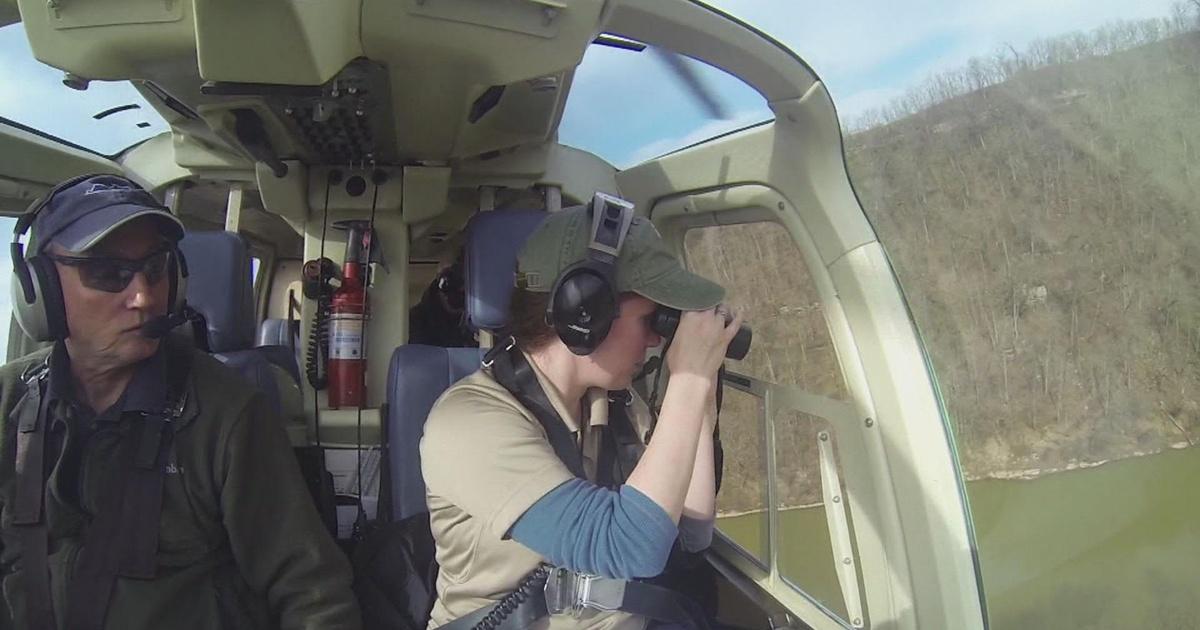 Kentucky Afield Rabbit Hunting; Sauger Fishing; Eagle Monitoring