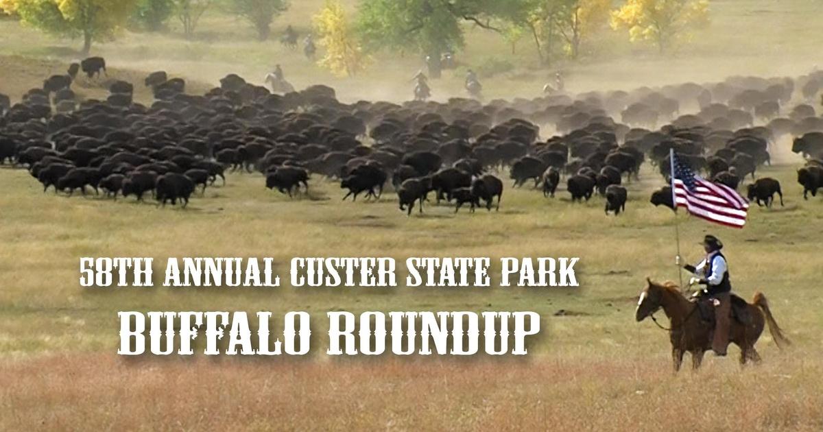 SDPB Specials 2023 South Dakota Governor's Buffalo Roundup PBS