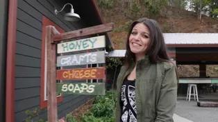 Wehrloom Honey