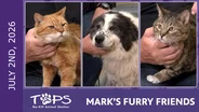 7/2/2026 | Boomer, Herbie and Journey | Mark's Furry Friends