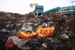 Why food waste is a global problem and what can be done