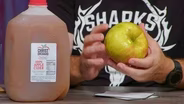 A One-Pound Honeycrisp and the Challenge of Choosing Apples