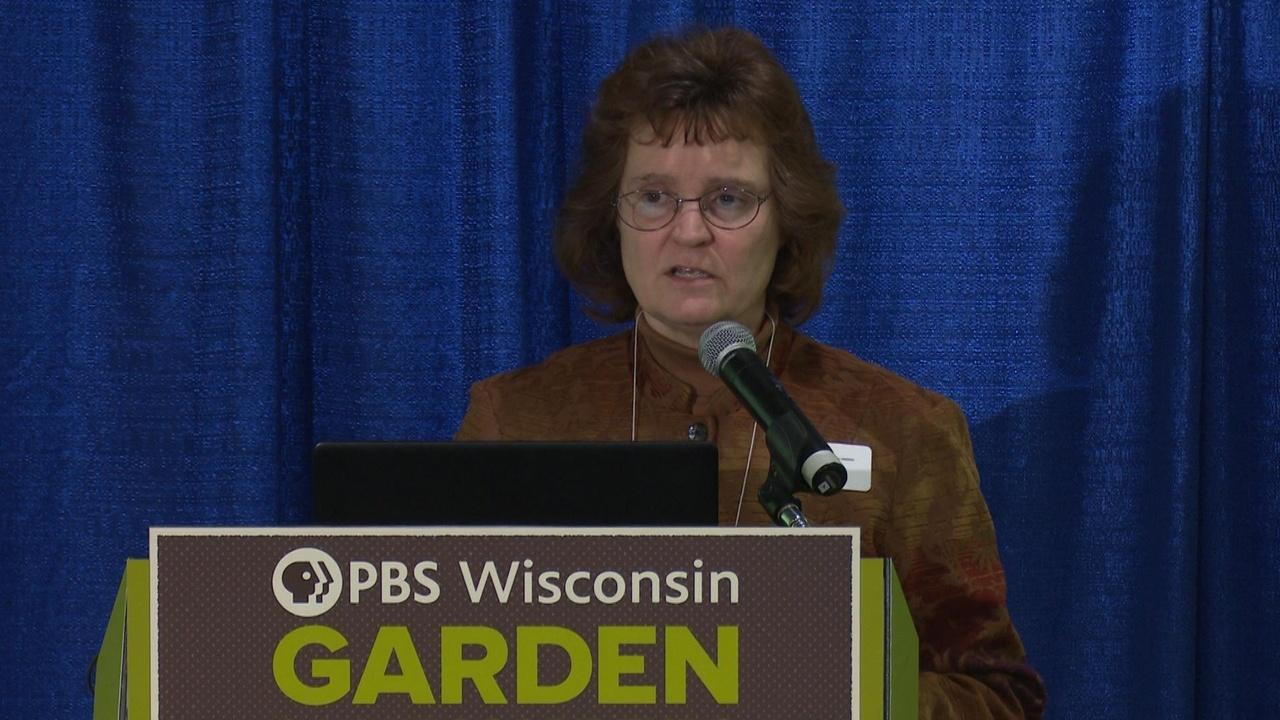 University Place Growing Tomatoes in Wisconsin airing Mon, Jun 15 7:59 am
