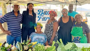 Harvesting the Future: AARI's Agriculture Journey