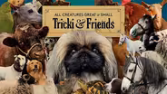 All Creatures Great and Small: Tricki & Friends Preview