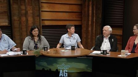 Video thumbnail: Montana Ag Live 5908: Weed Control Success