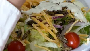 Crickets as Croutons
