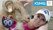 Sugar Loaf, GoofyGoatFarm, Pole Vaulter, Mankato Makerspace