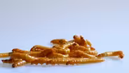 Insects Make Protein More Efficiently Than Mammals