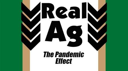 Video thumbnail: Real Ag Pandemic Effect