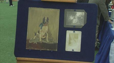 Video thumbnail: Antiques Roadshow Appraisal: Folk Art Dog Portrait, ca. 1895
