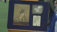 Appraisal: Folk Art Dog Portrait, ca. 1895