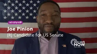 Joe Pinion's Run Against Schumer