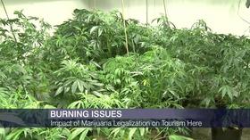 Video thumbnail: Chicago Tonight Will Legalized Marijuana Bring Reefer Madness to Illinois?