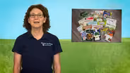 Planning Your Garden with Seed Catalogs