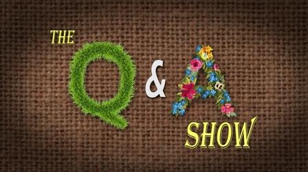 Video thumbnail: The Family Plot Q & A Show