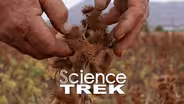 Biomimicry: Sticky Wonders