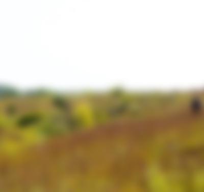 Prairie Sportsman