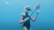 Divers Hunt Venomous Fish Invading Our Oceans