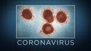 What scientists do and don't know about the coronavirus