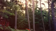 Wolfeboro | Hurricane '38