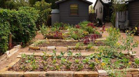 Video thumbnail: Central Texas Gardener Changing Goals