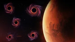 How Many Black Holes Are In The Solar System?