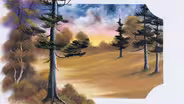 Majestic Pine