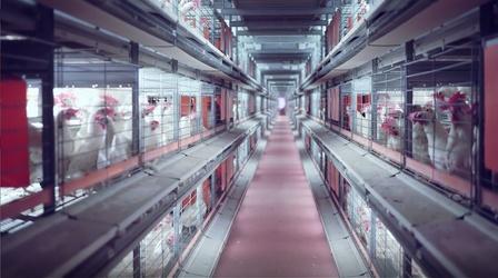 Video thumbnail: Peril and Promise How Is Climate Change Changing The Way We View Food?