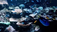 Make a Splash Day