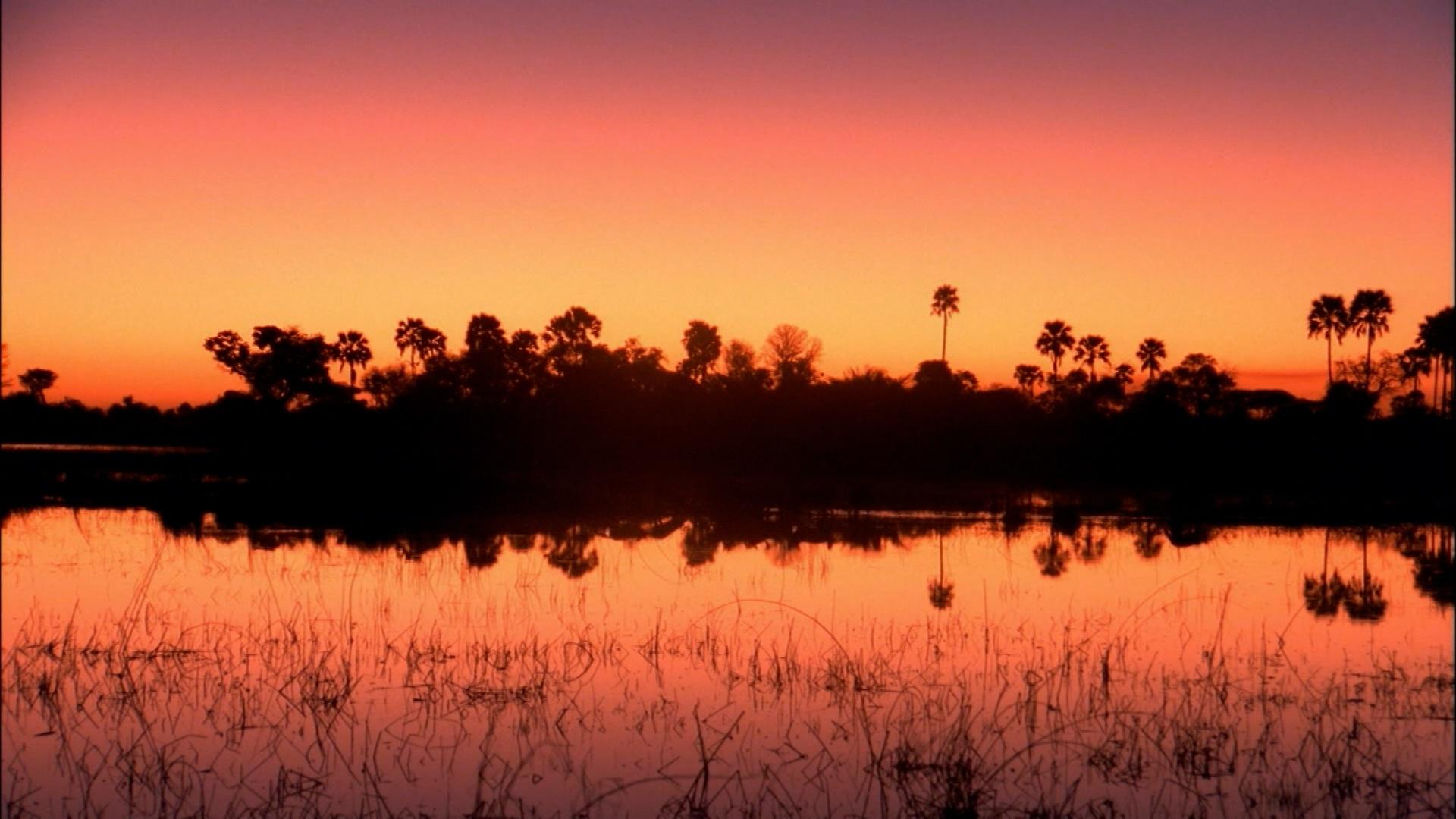 KALAHARI The Flooded Desert Nature NJ PBS kalahari-the-flooded-desert-nature-nj-pbs