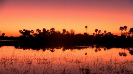 Video thumbnail: Nature KALAHARI – The Flooded Desert