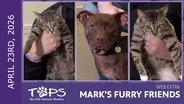 4/23/2026 | Neuhaus, Ferrero and Mama Girl | Mark's Furry Friends Extra
