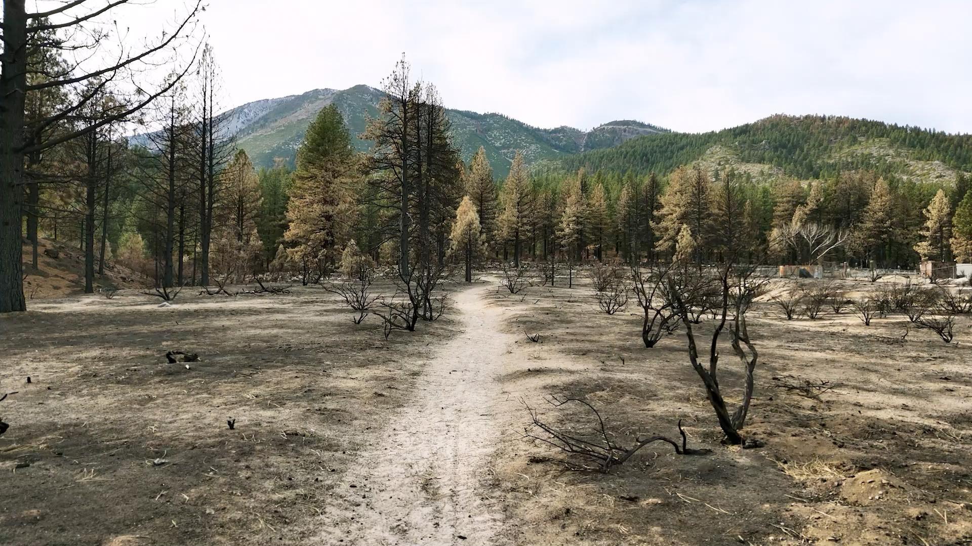 Prevention, recovery and science combine to help us safely enjoy the state's unique landscapes