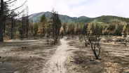 Episode 706: Living with Wildfire