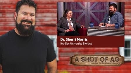Video thumbnail: A Shot of AG S02 E44: Dr. Sherri Morris | Bradley University Biology