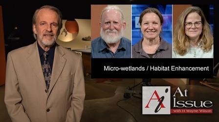 Video thumbnail: At Issue S35 E41: Micro-wetlands / Habitat Enhancement