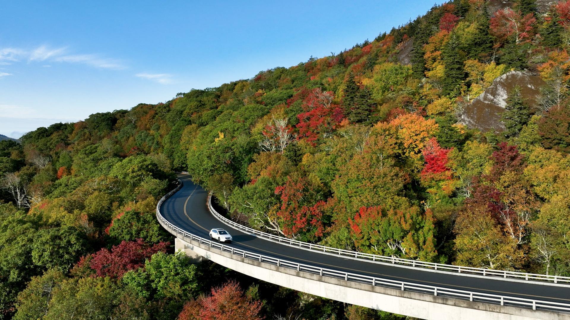 An aerial image of the Blue Ridge Parkway with fall trees lining the road.