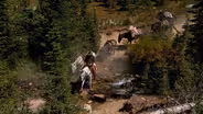 Wallowa Mule Packer