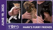 06/26/2025 | Jefferson, Dawson, and Allison | Mark's Furry Friends