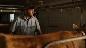 Video thumbnail: PBS NewsHour Wisconsin dairy farmers are struggling to stay afloat