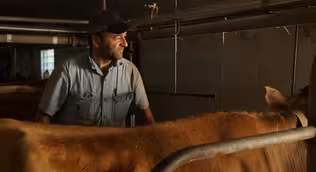 Wisconsin dairy farmers are struggling to stay afloat