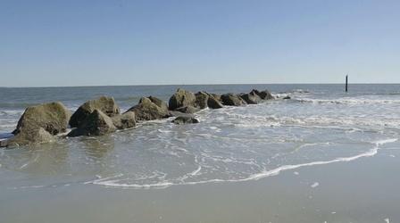 Video thumbnail: EcoSense for Living Saving Half the Seas