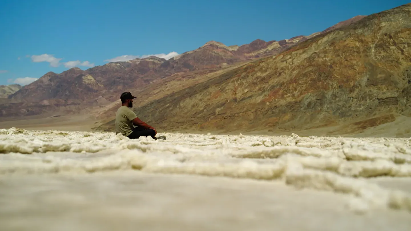 Death Valley: Life Blooms