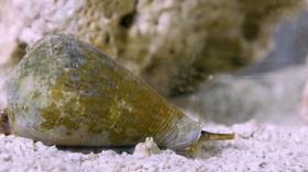 Video thumbnail: SciTech Now SciTech Now Episode 421