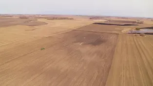 Regenerative Farming in Western Minnesota