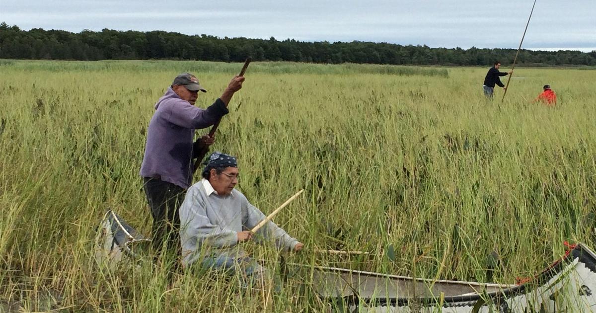 Growing Up Ojibwe: The Game by GLIFWC